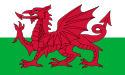 Flaga walijska