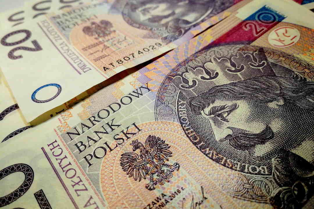 20 PLN money